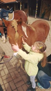 Lotti- unser kleinstes Schulpony für die kleinsten 