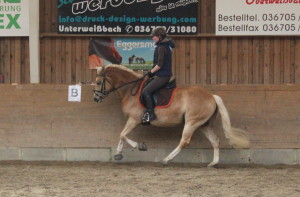 Dressurtraining bei Michael Börner