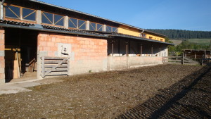 DSC04022