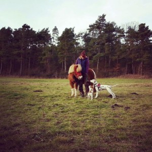 Lotti