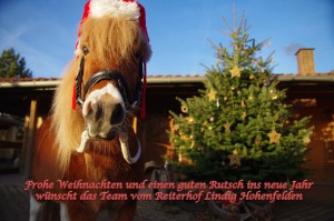 Frohe Weihnachten!