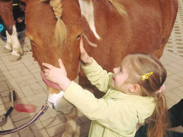 Lotti Schmusepony Pony