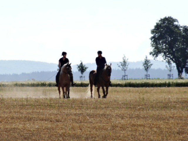 Reiten übers Feld
