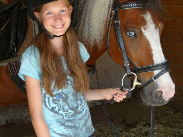 Reiten Pferde