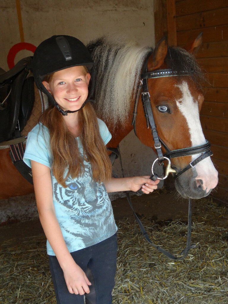 Reiten Pferde
