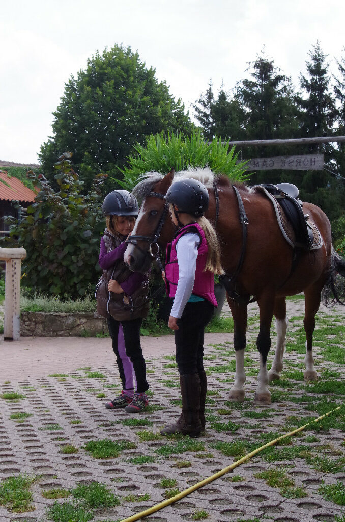 Pony