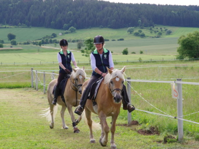 Reitunterricht auf Haflinger
