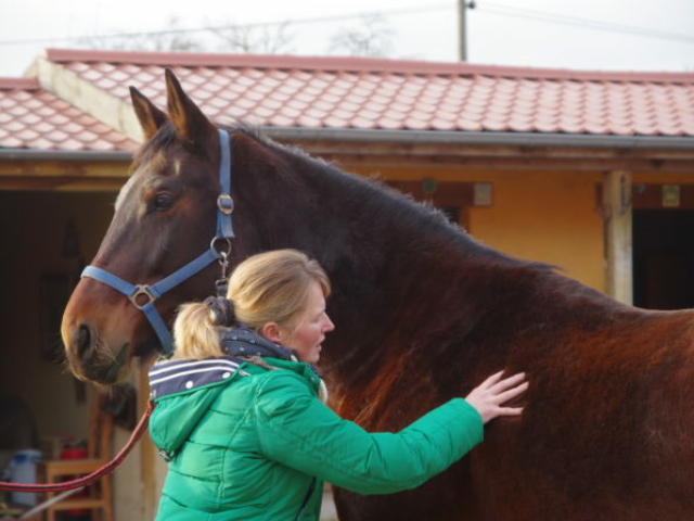 Checkup bei der Osteopathin